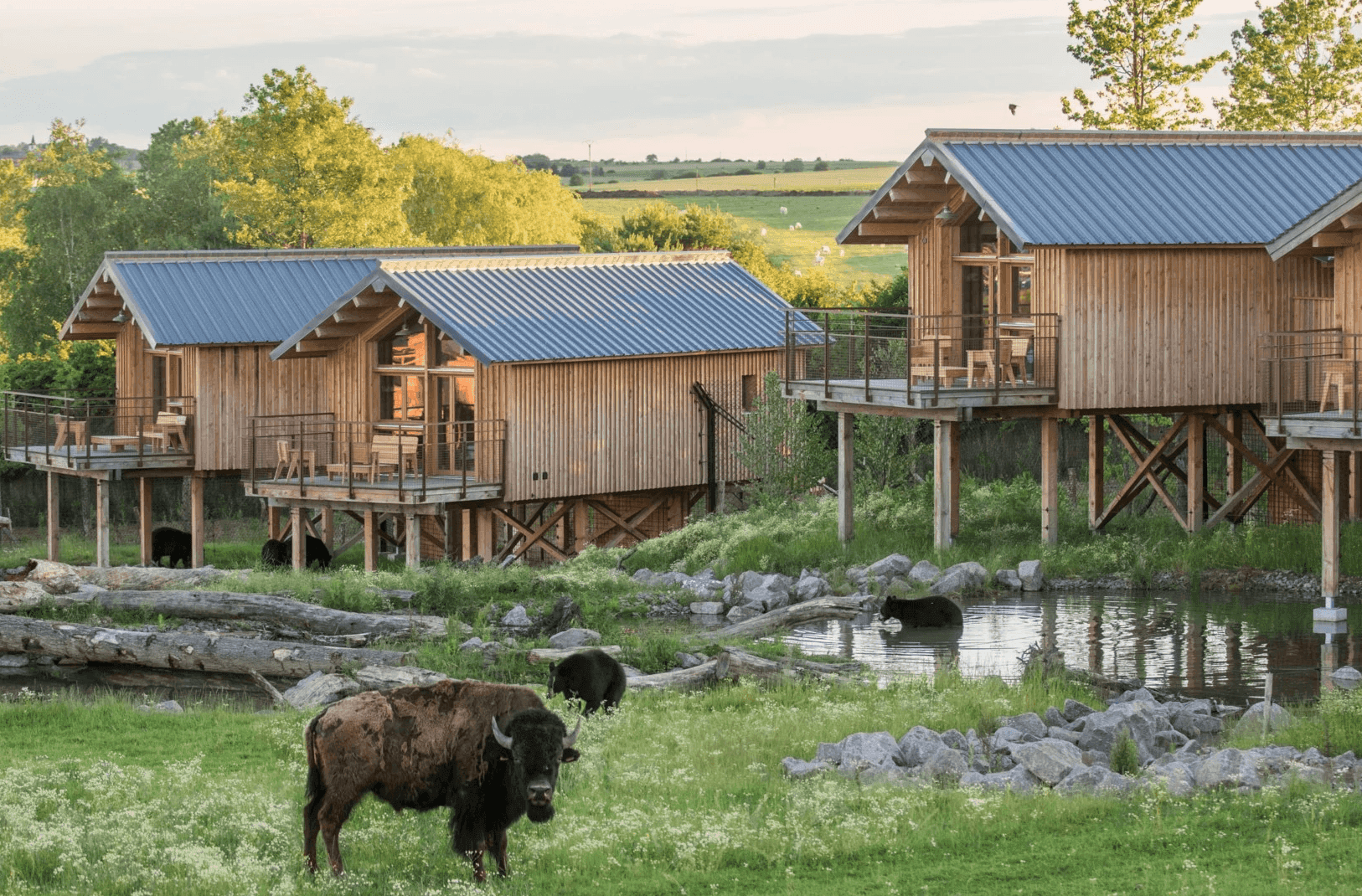 Parc Animalier de Sainte Croix 1