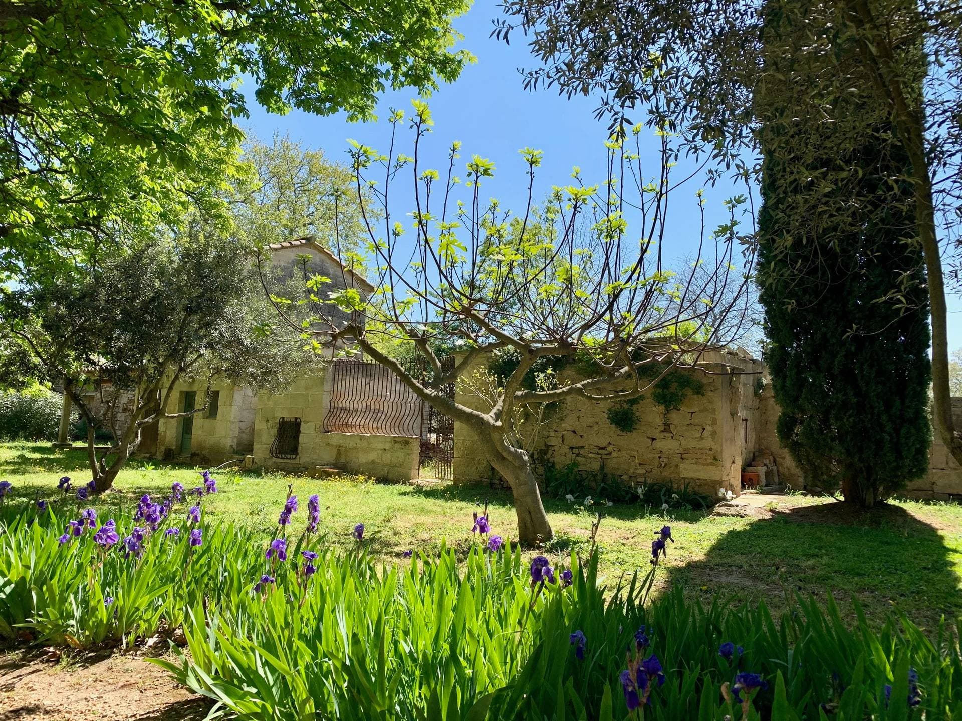 Domaine Arbaud 70
