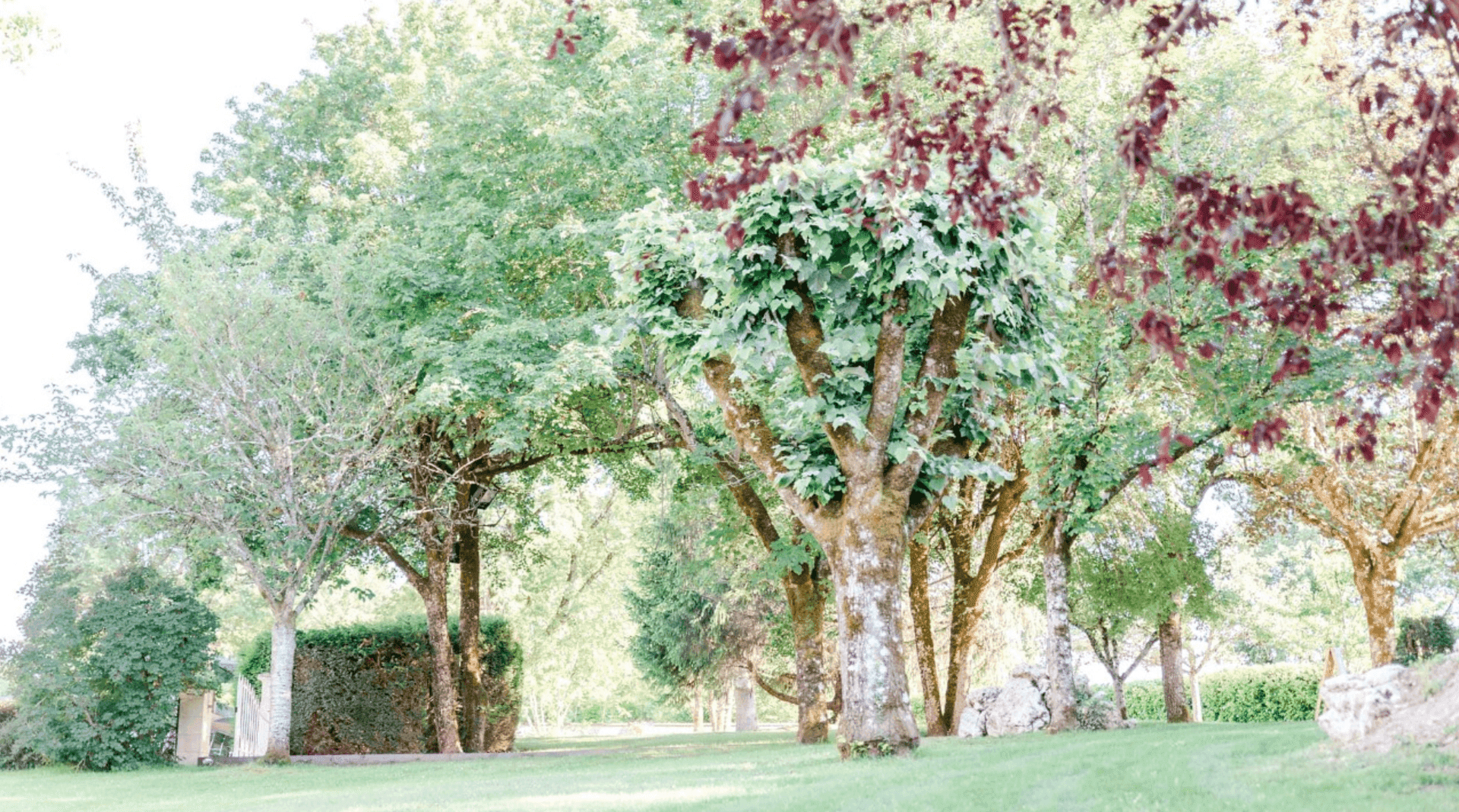 Domaine de la Fage 5