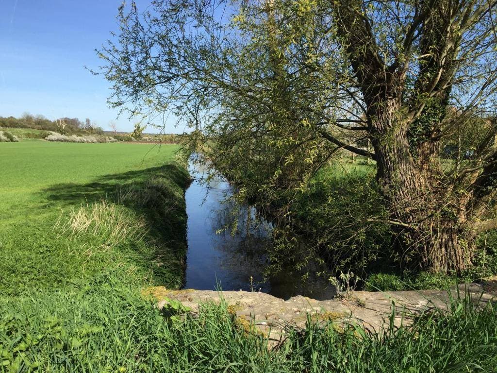 Le Domaine du moulin de Champie 30