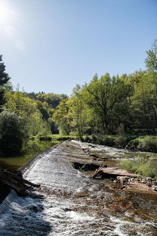 Moulin de Cambelong - Émilie et Thomas 6