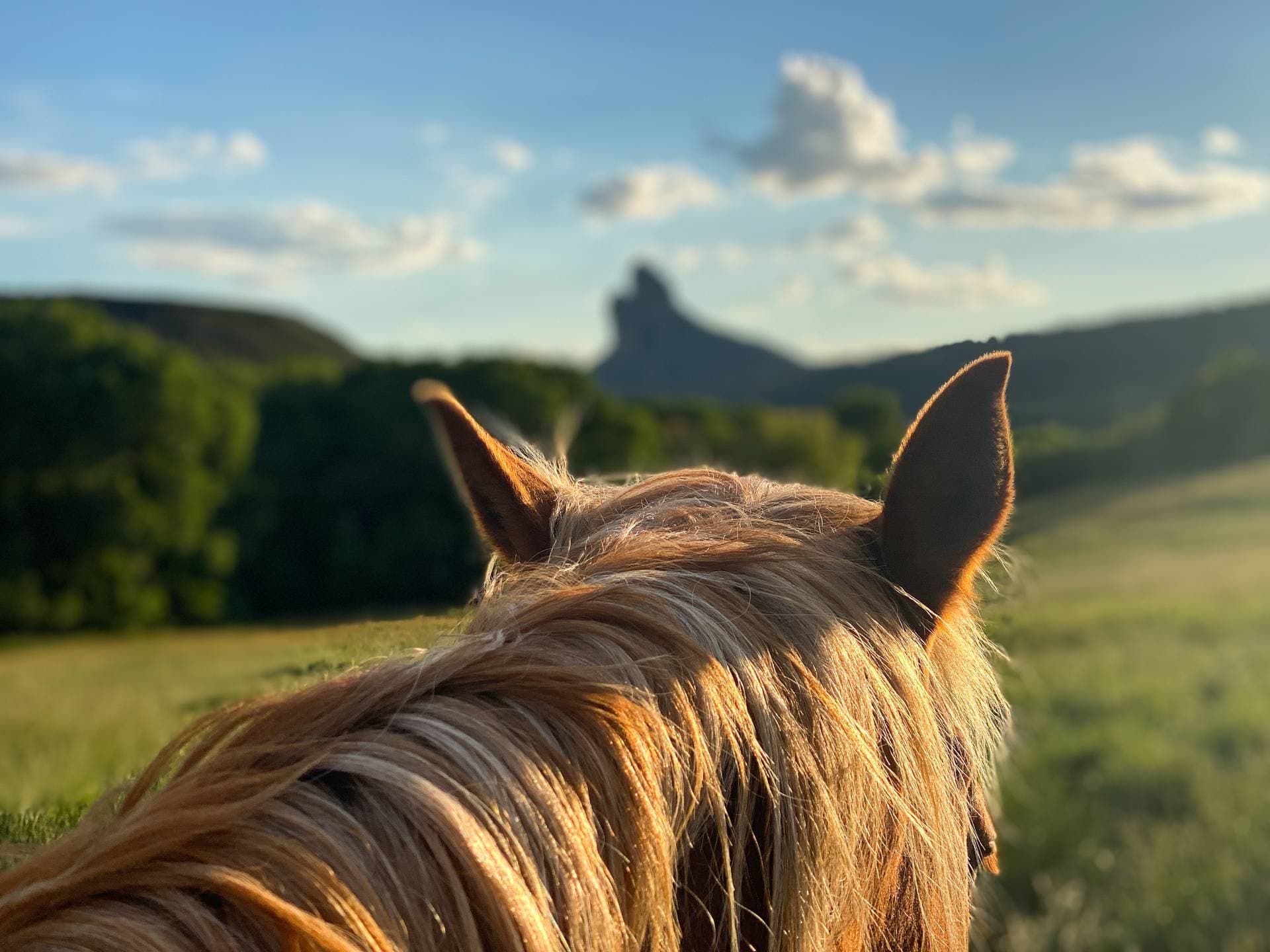 Smith Fork Ranch 12