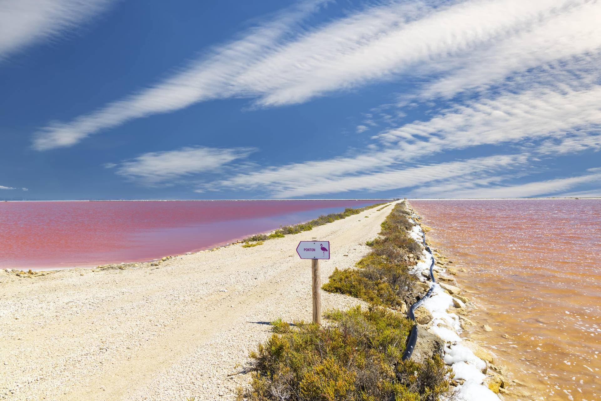 Camargue, entre terre et mer