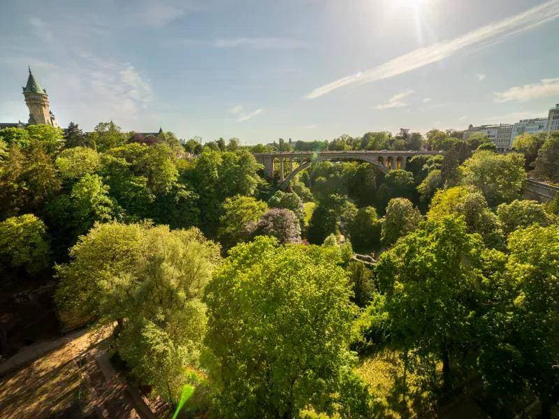 Sofitel Luxembourg Le Grand Ducal 18