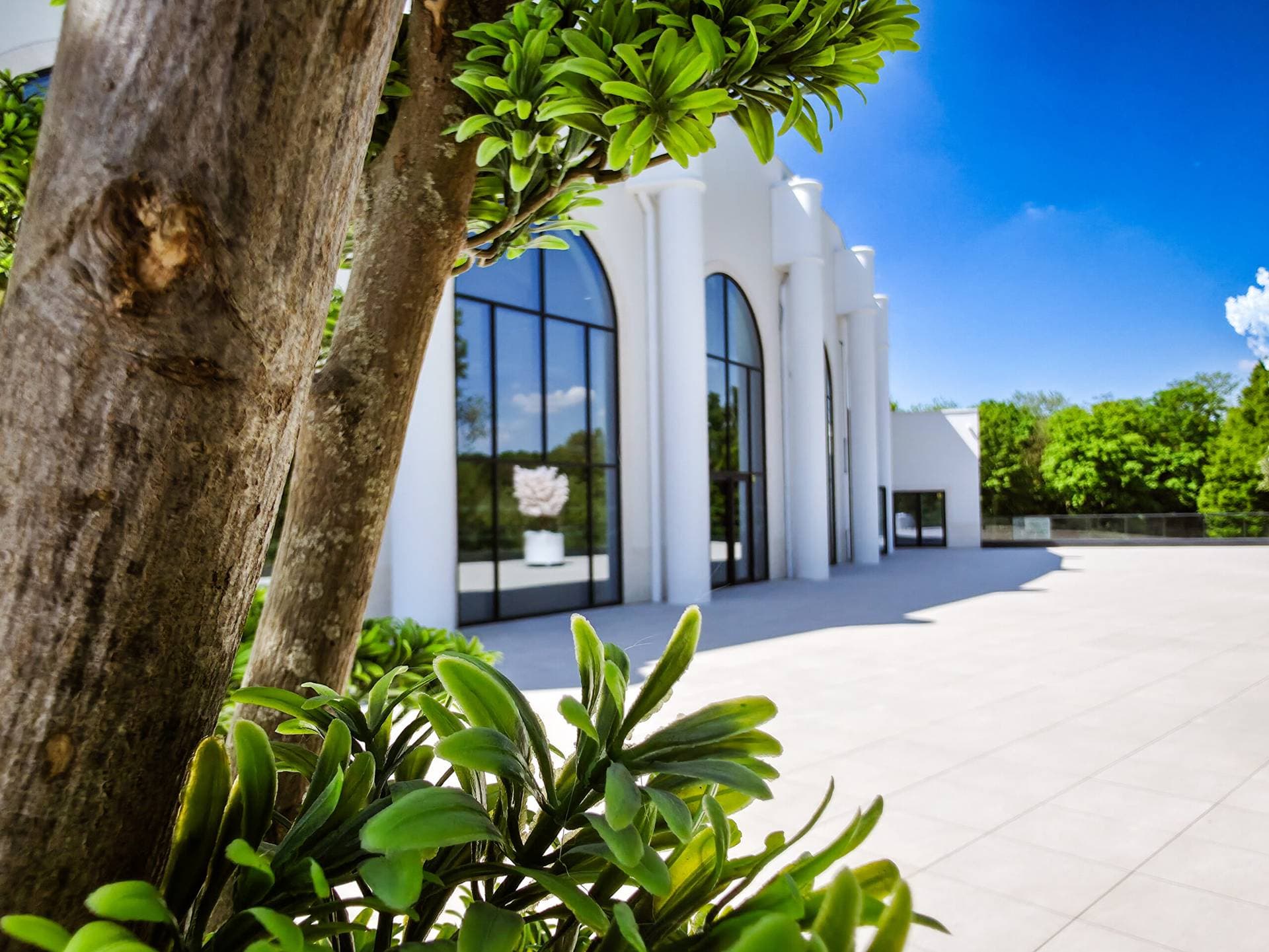 Le Palais Royal 3
