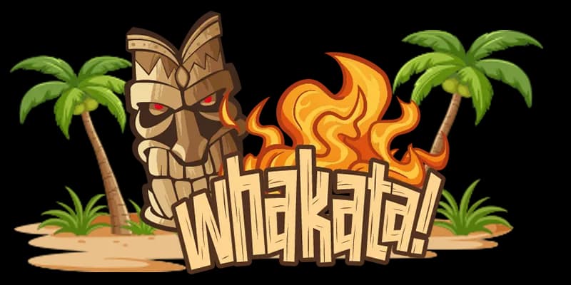 Whakata - Teambuilding 1