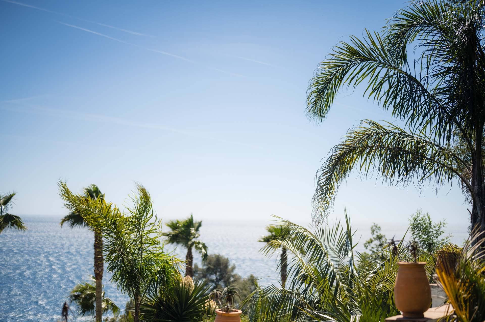 Les Pins Penchés 29