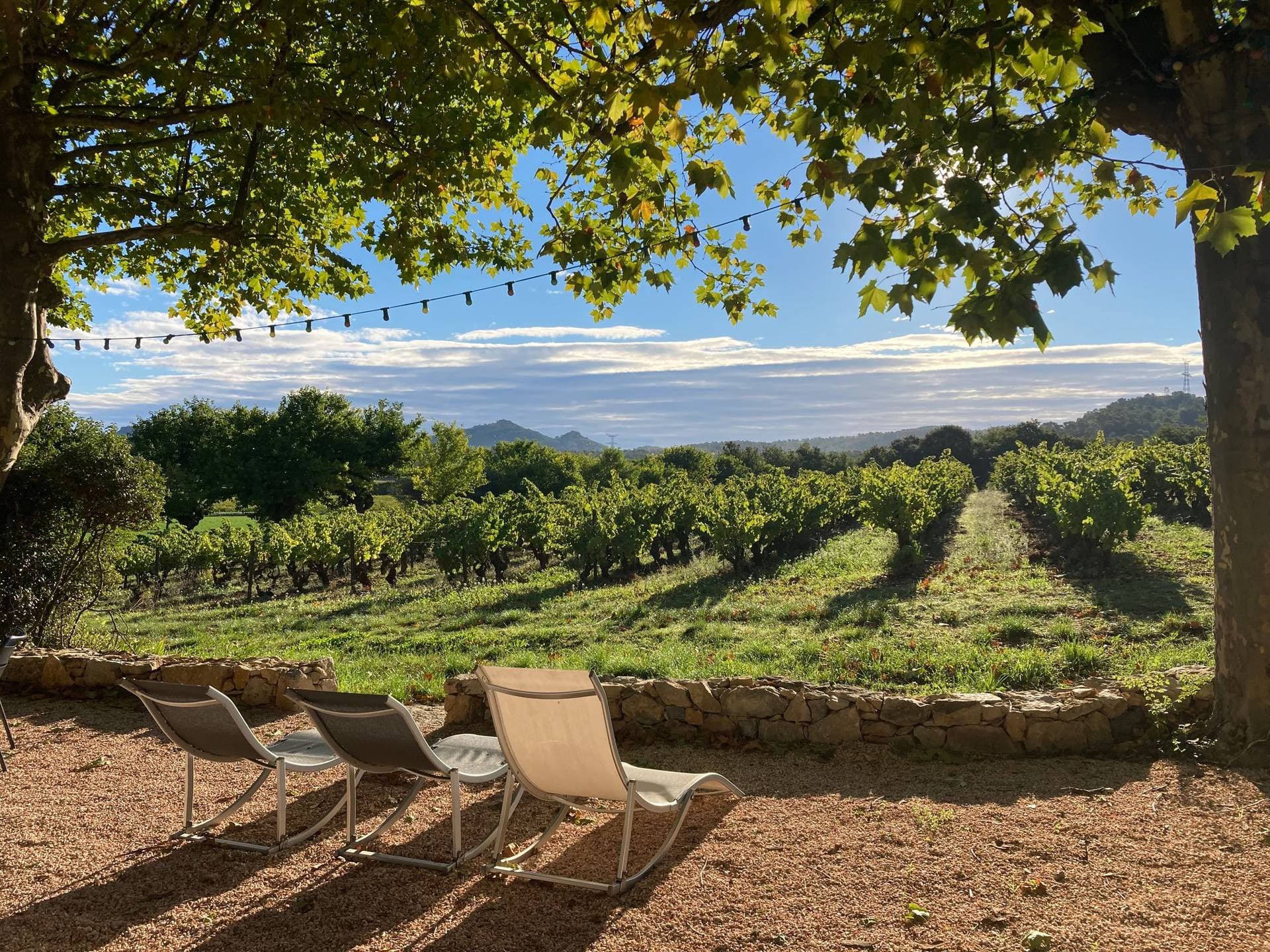 Le Domaine du Château Trians 20