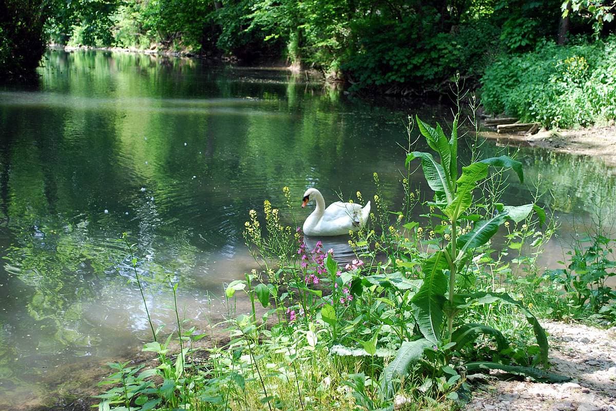 Le Moulin de Pommeuse 16