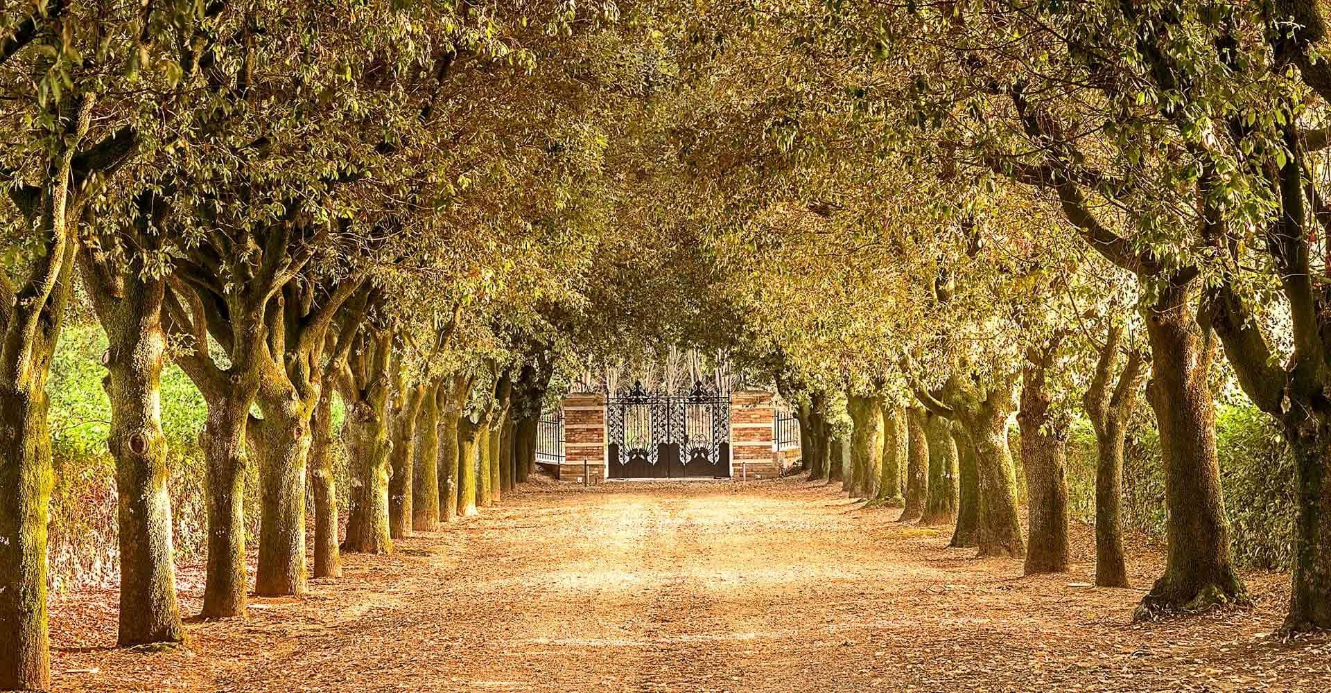 Parco del Principe 6