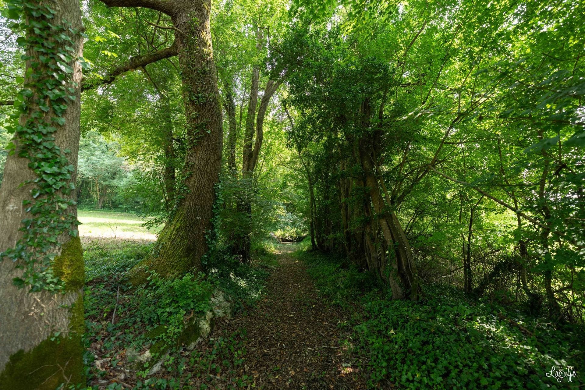 Gîte de Fompesquiere 53