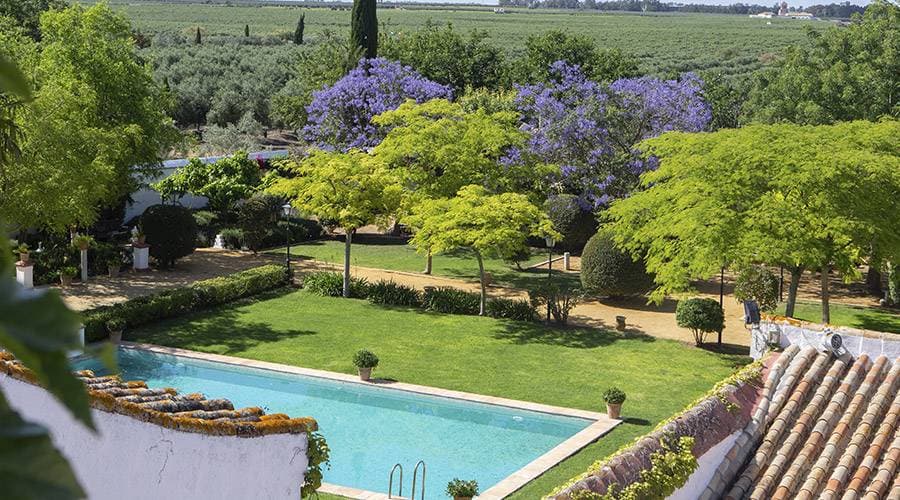 Hacienda de Orán 5