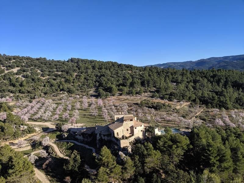 Mas de la Serra 8