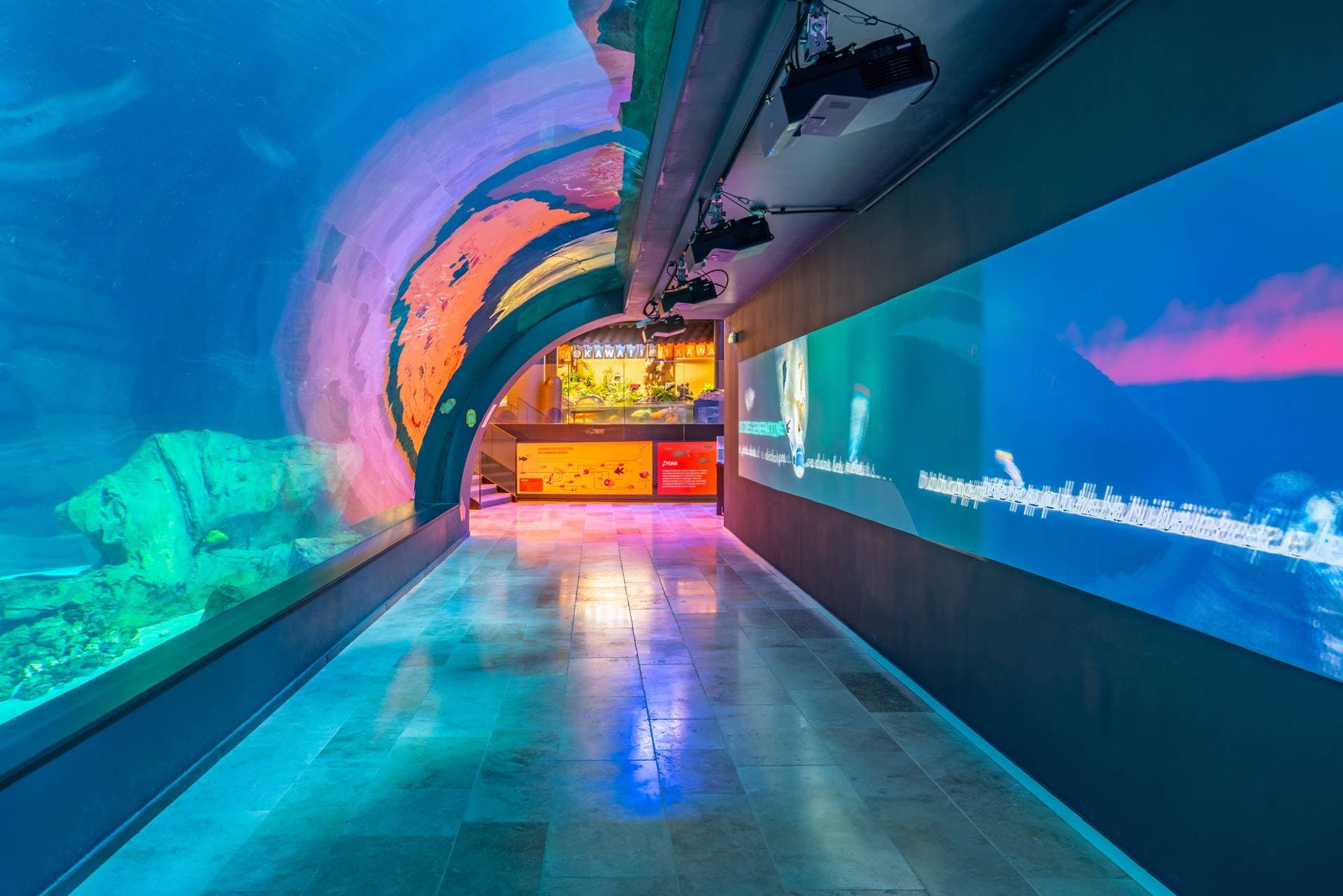 Le Tunnel à Requin 