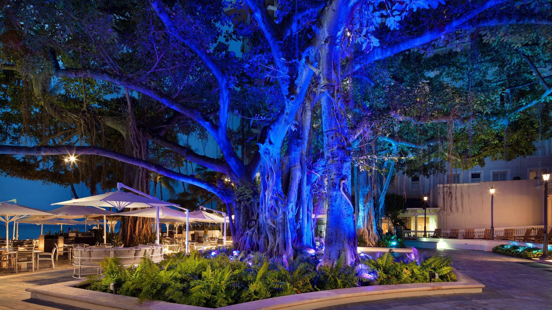 Moana Surfrider, A Westin Resort & Spa, Waikiki Beach 16