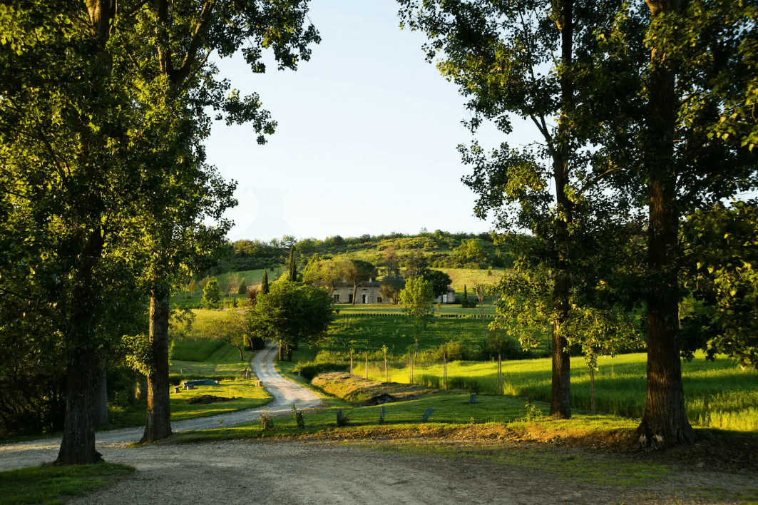 Halteencocagne - Le Gîte de Ségur & le Domaine d'en Maury 27