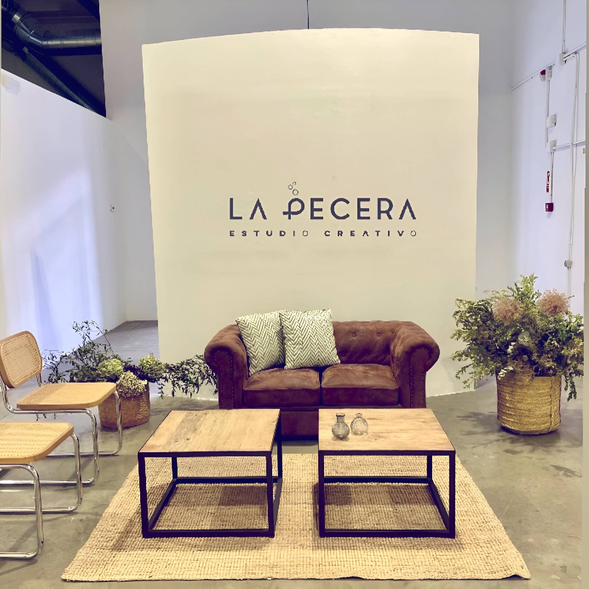 La Pecera 8