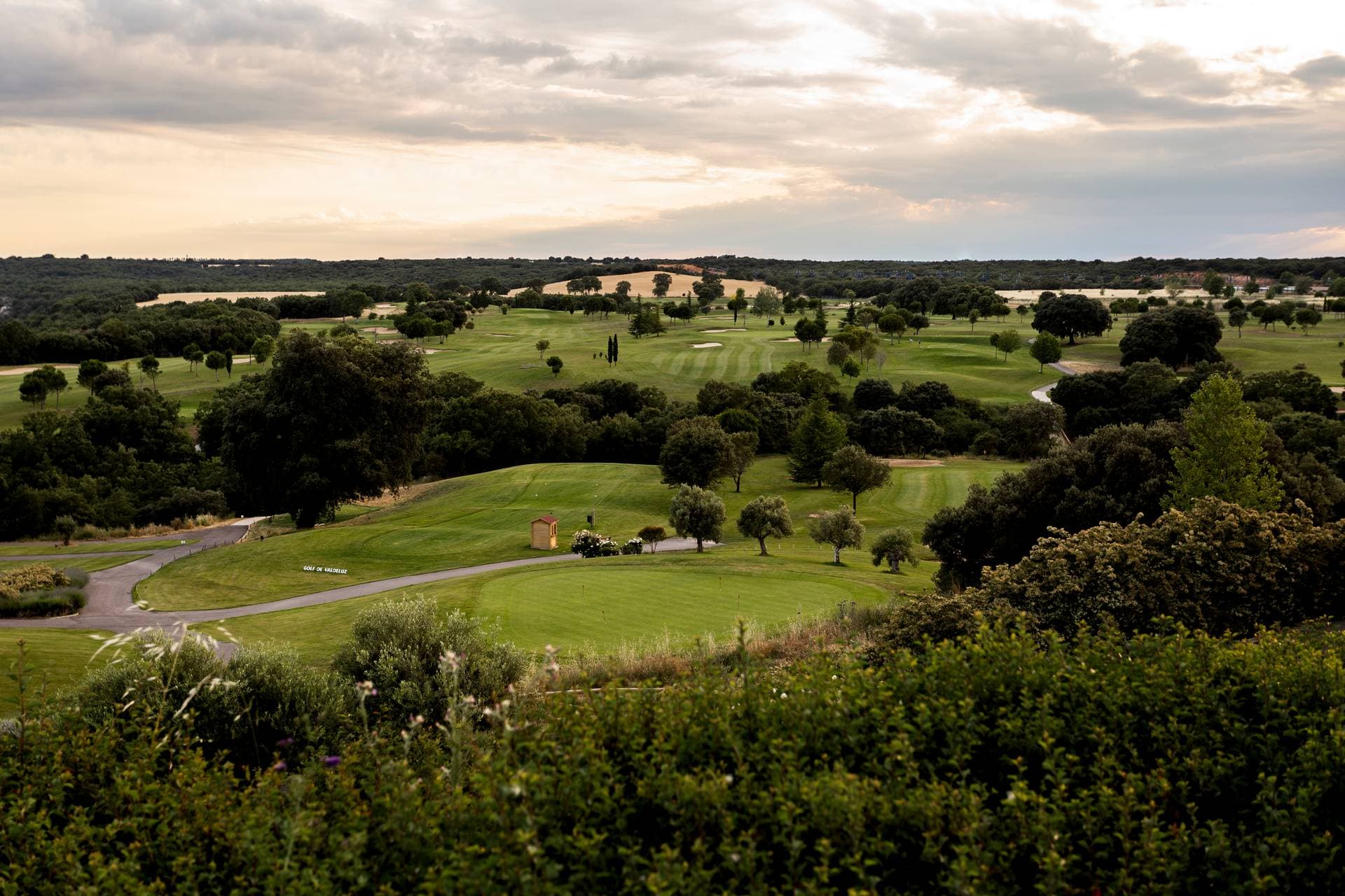 Montealvar | Golf El campo