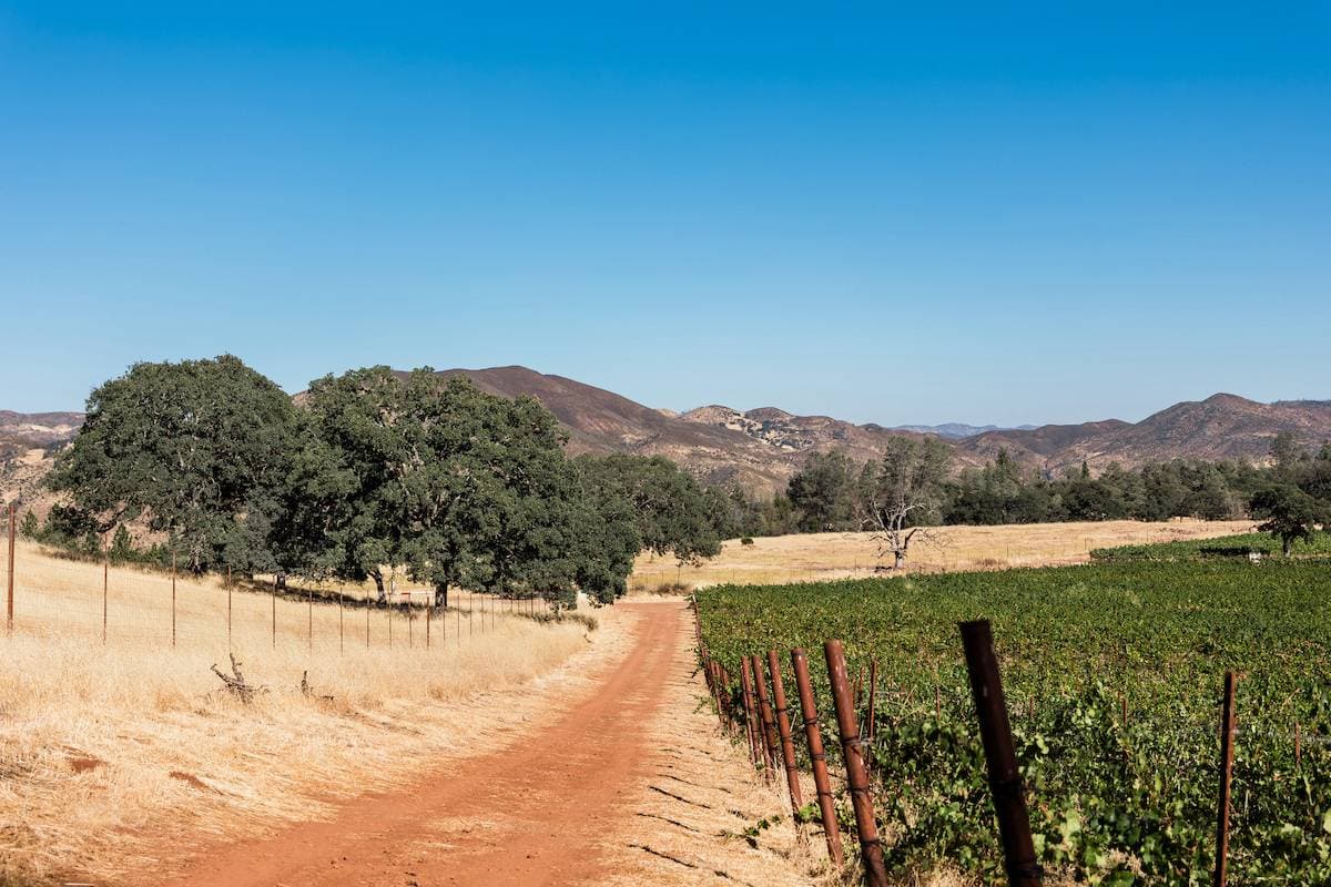 Huttopia Wine Country 36