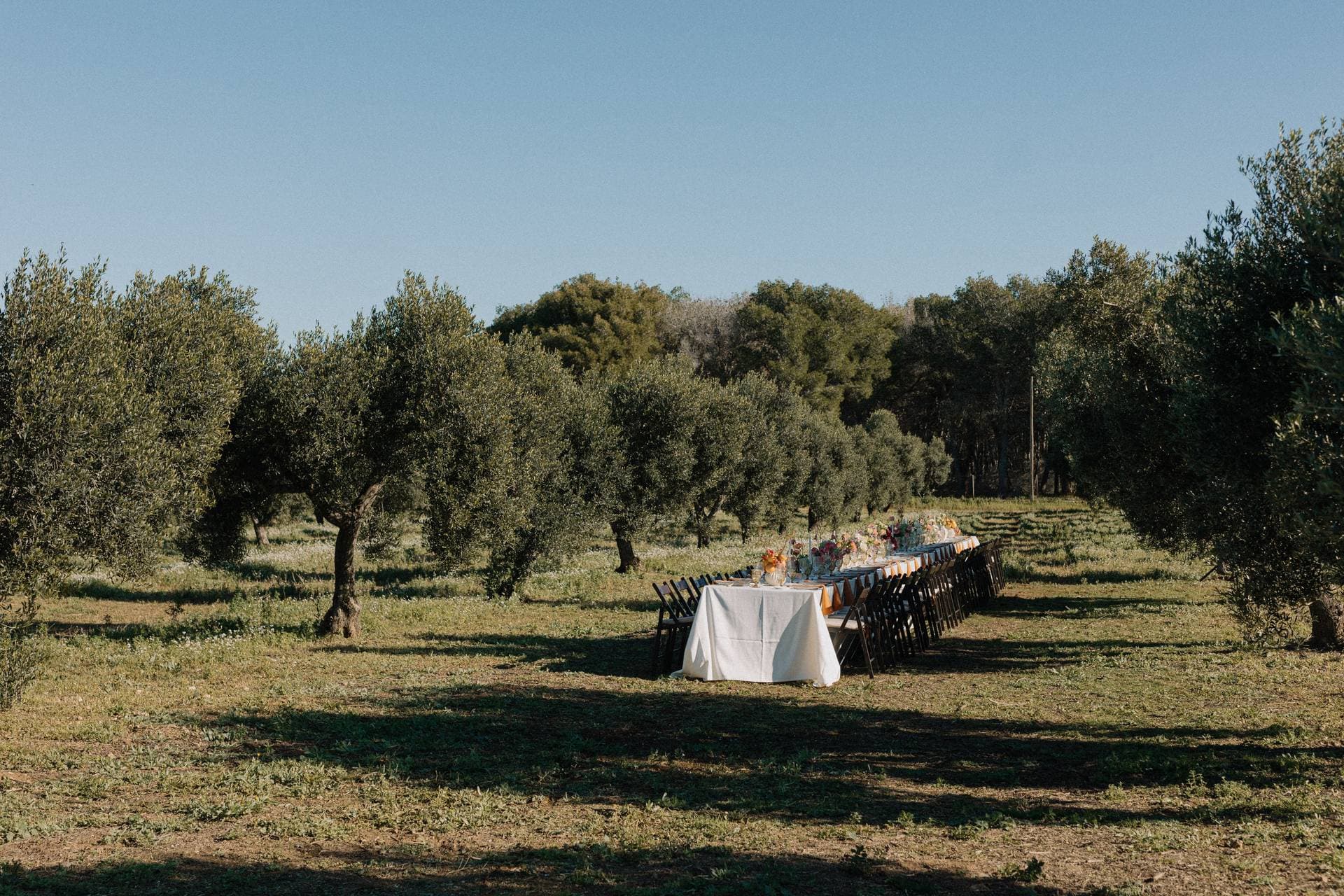 Finca La Concertista 50