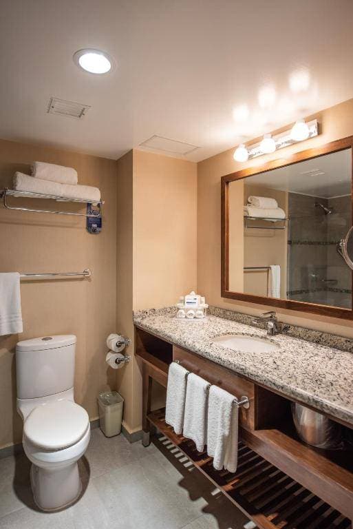 Holiday Inn Express Celaya 16