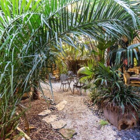 Le Patio'nnement 14