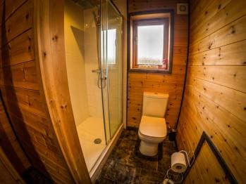 New Forest Lodges 11