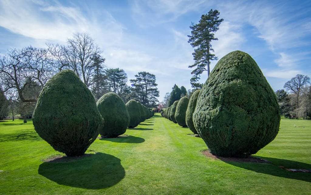The Elvetham 12