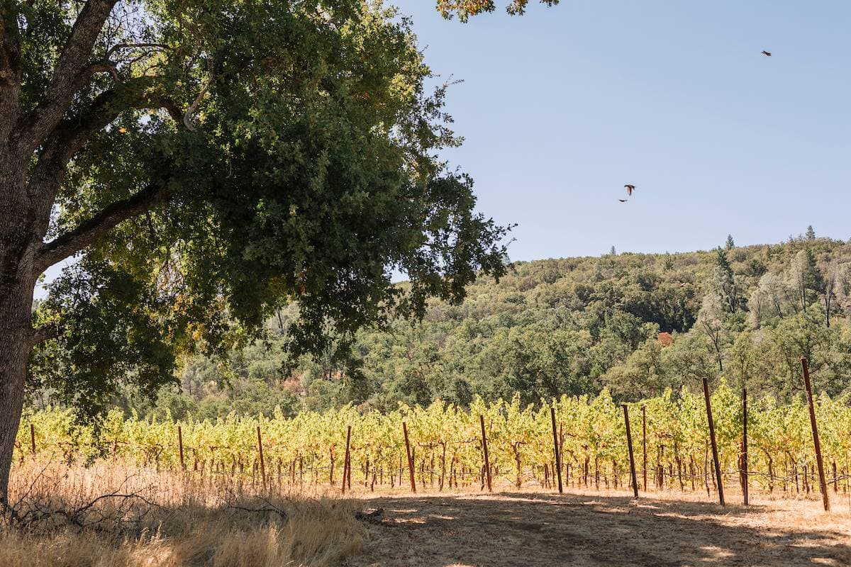 Huttopia Wine Country 9
