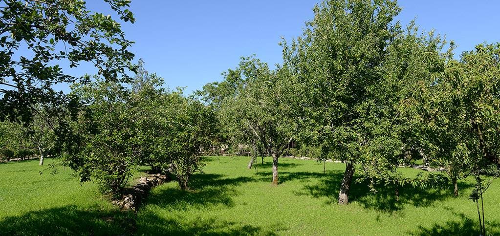 Casa de Docim 9