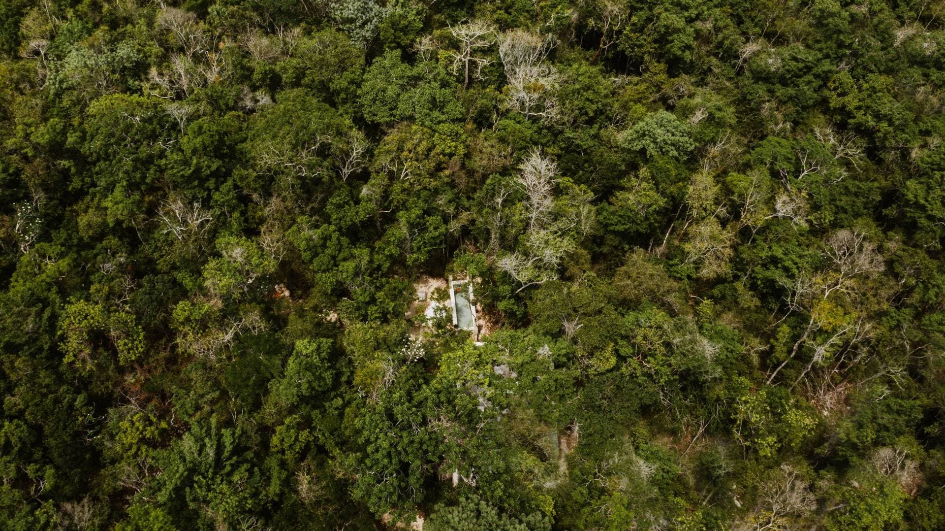 Arcadia Events Tulum 15