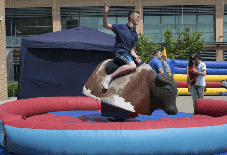 Rodeo Bull Hire