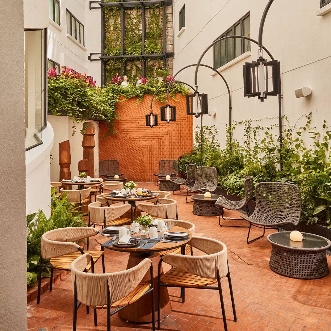Campos Polanco 15