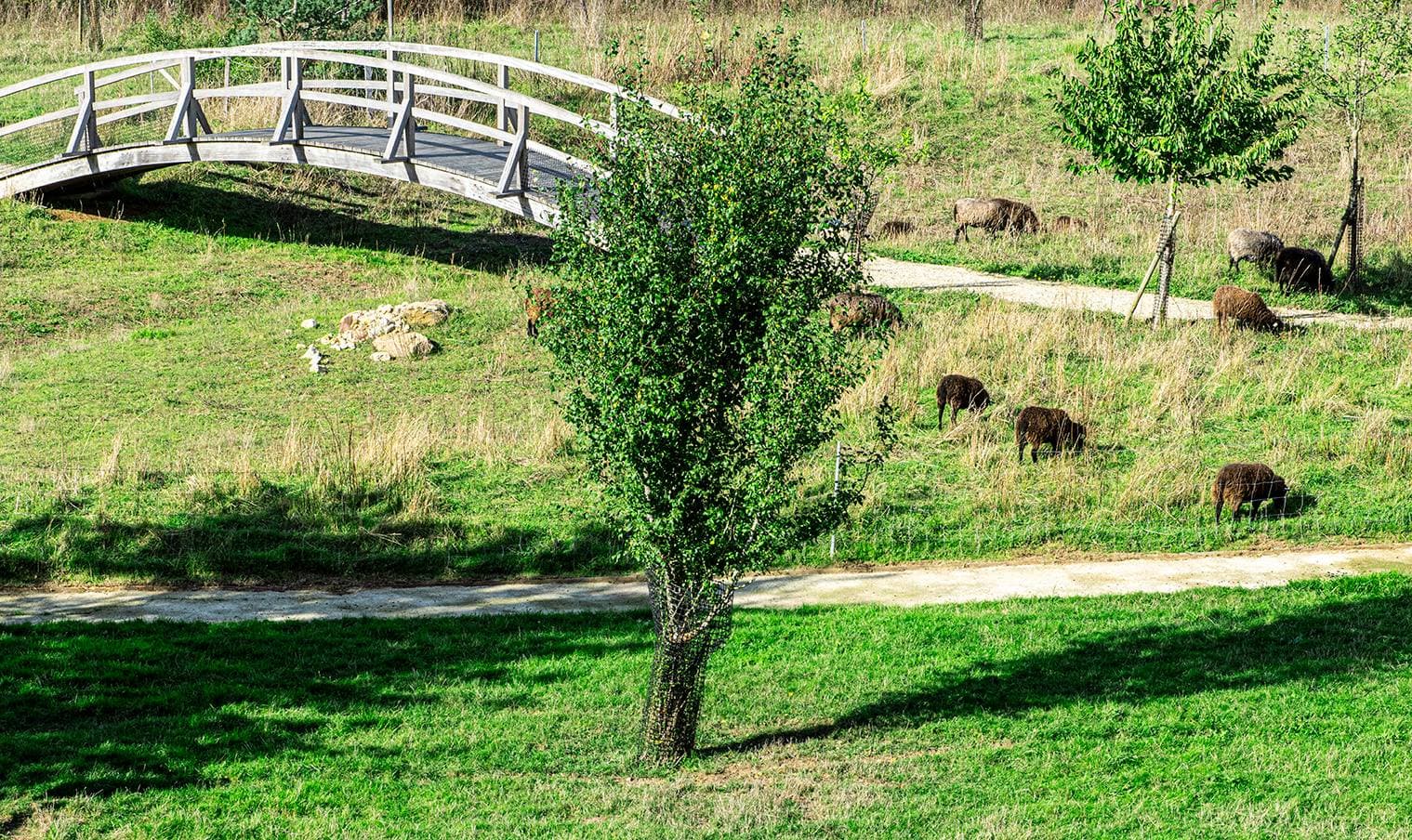 Le Green des Impressionnistes 33