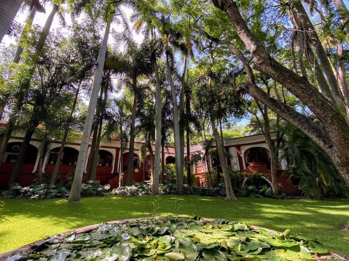 Hacienda De Teresa y Polignac 6