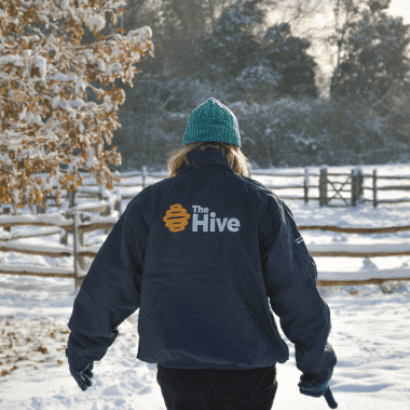 The Hive 18