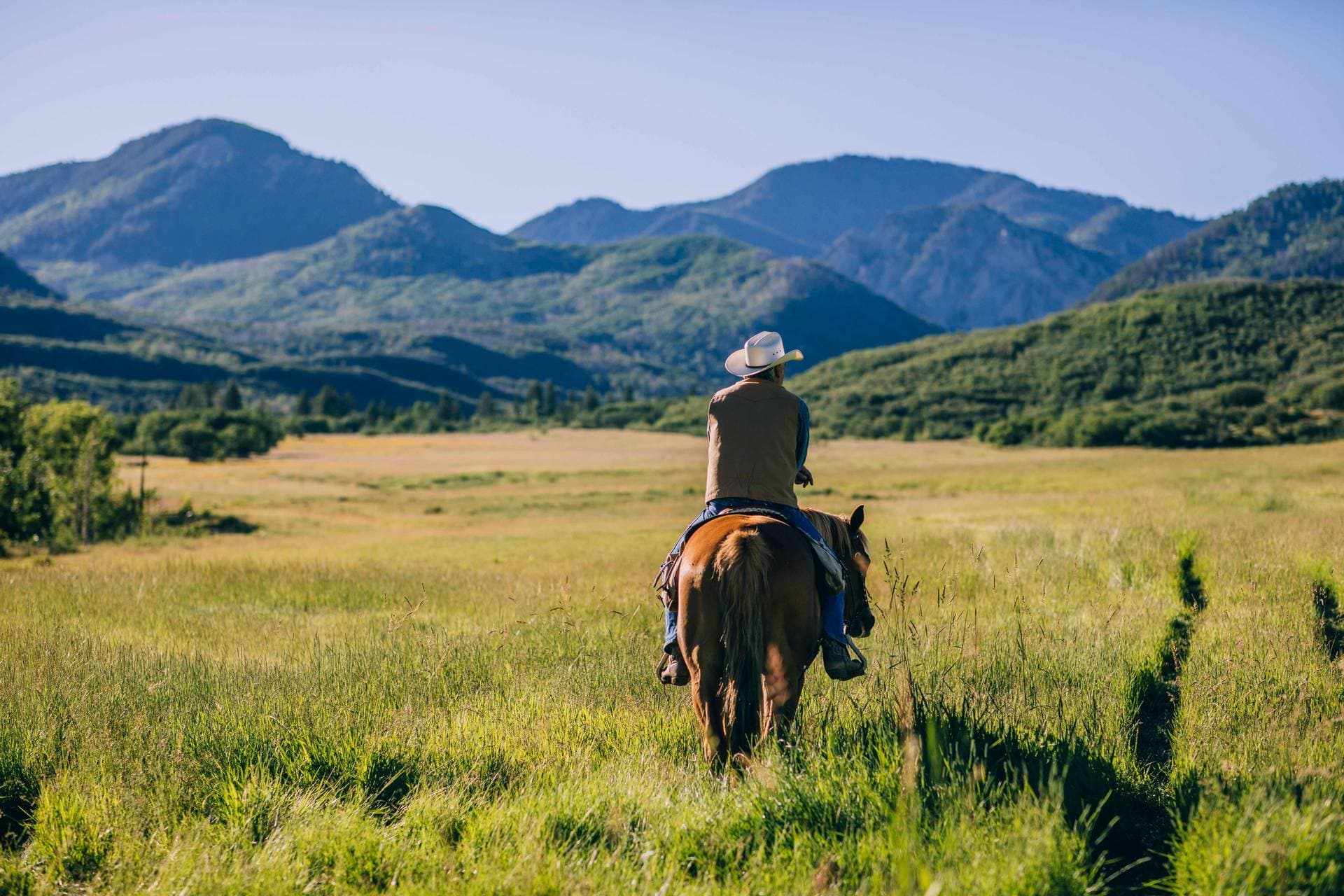 Smith Fork Ranch 9