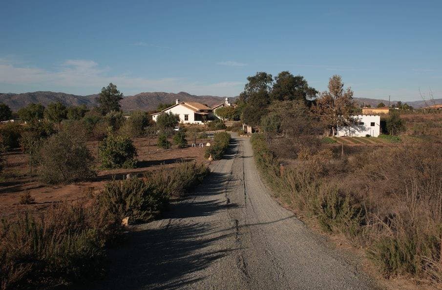 Restaurante Laja 8