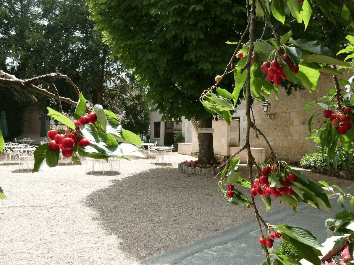 Hôtel Le Grand Monarque 3
