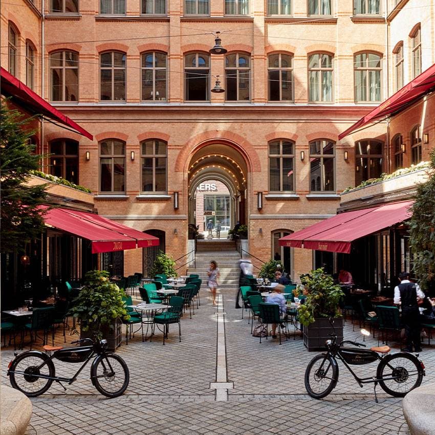 Tortue Hamburg 1