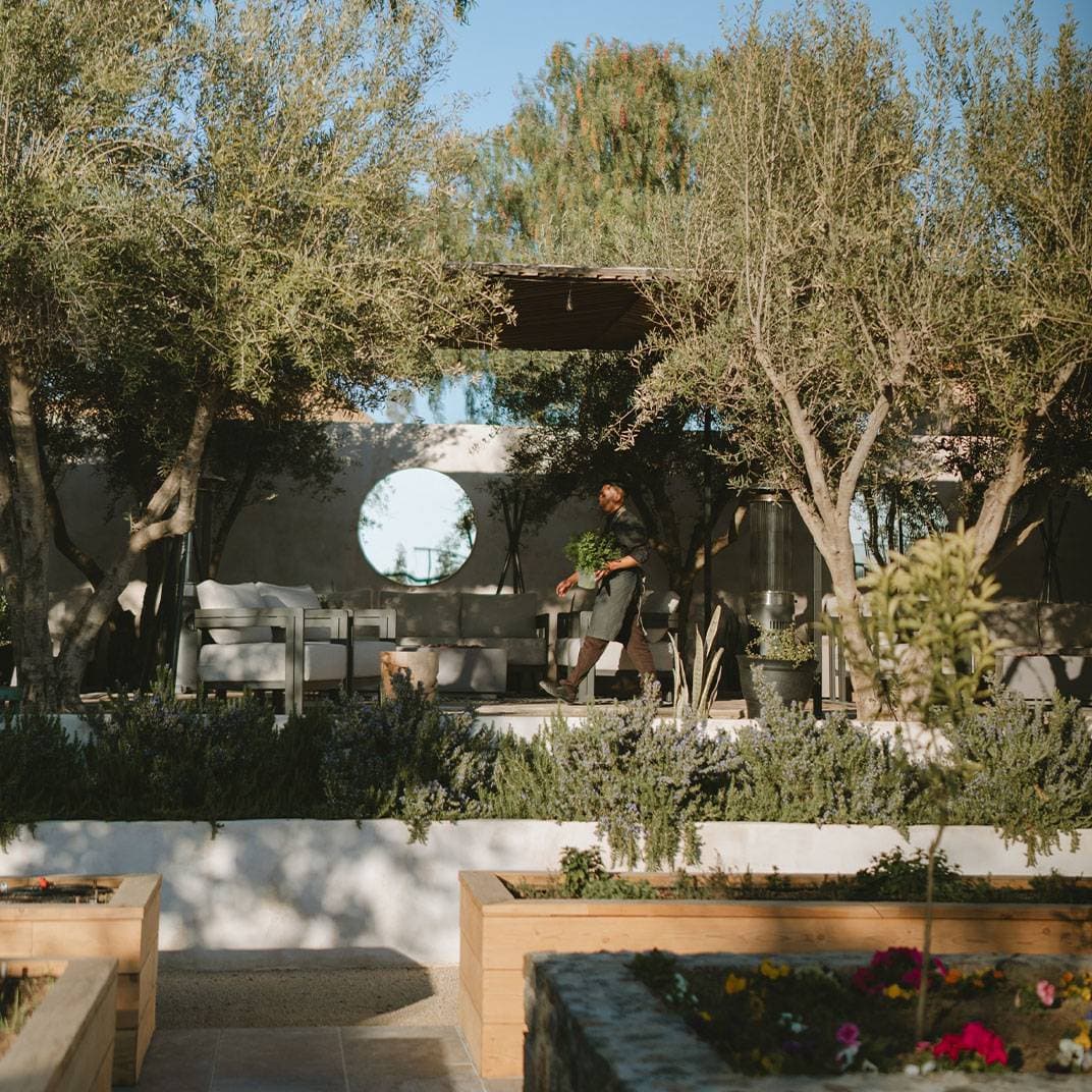 Casa Olivea 11