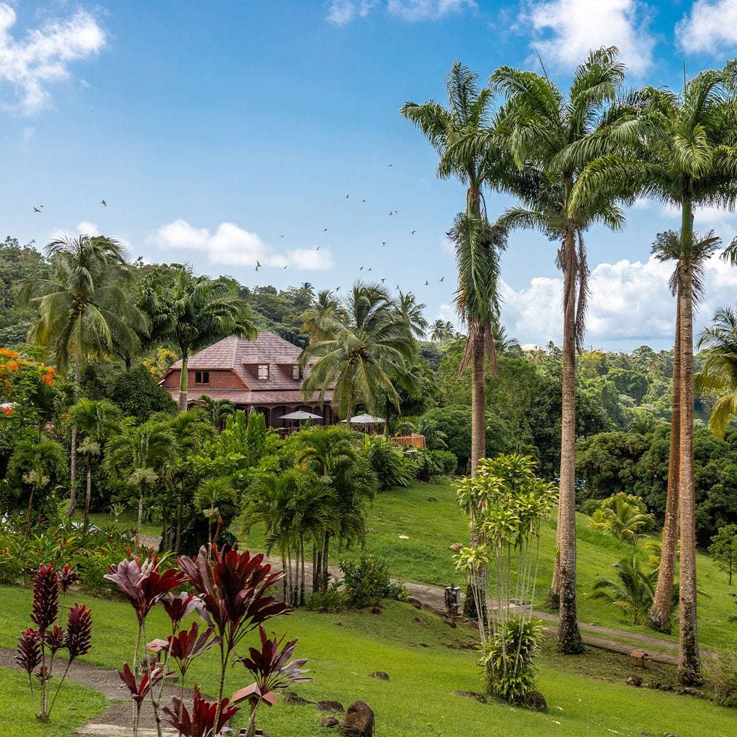 Le Jardin Malanga Hotel 2