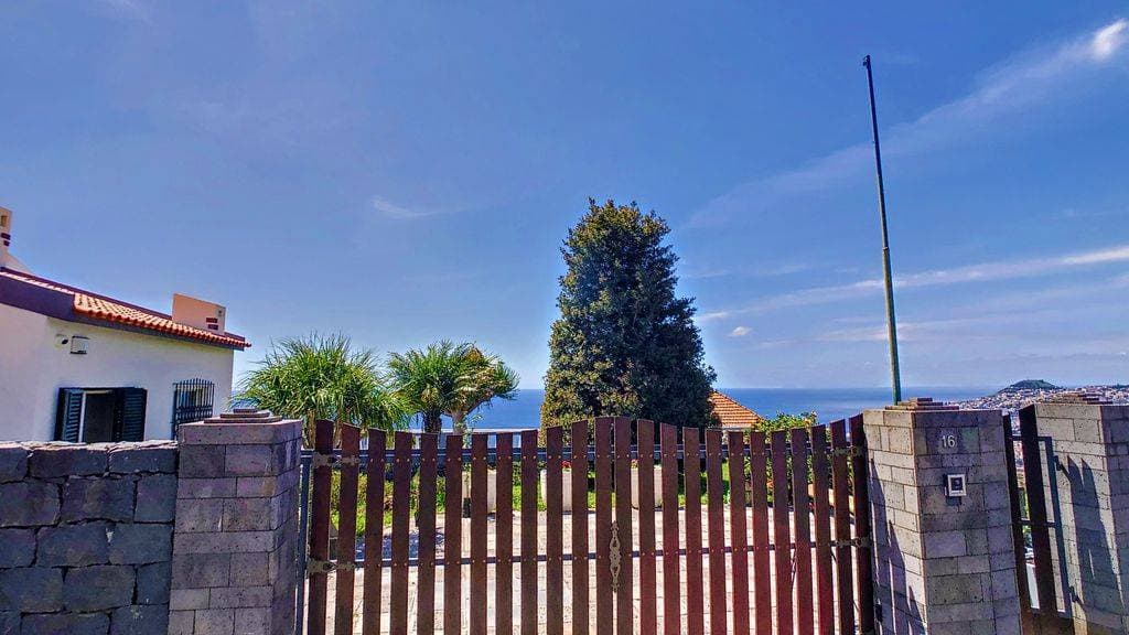 Avocado Villa 2