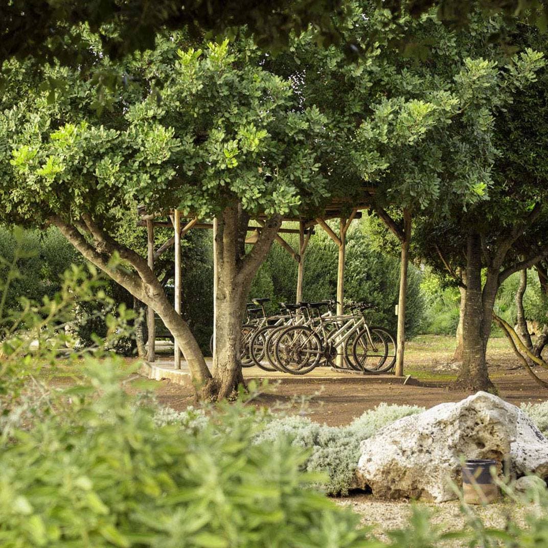 Masseria Don Cirillo 10