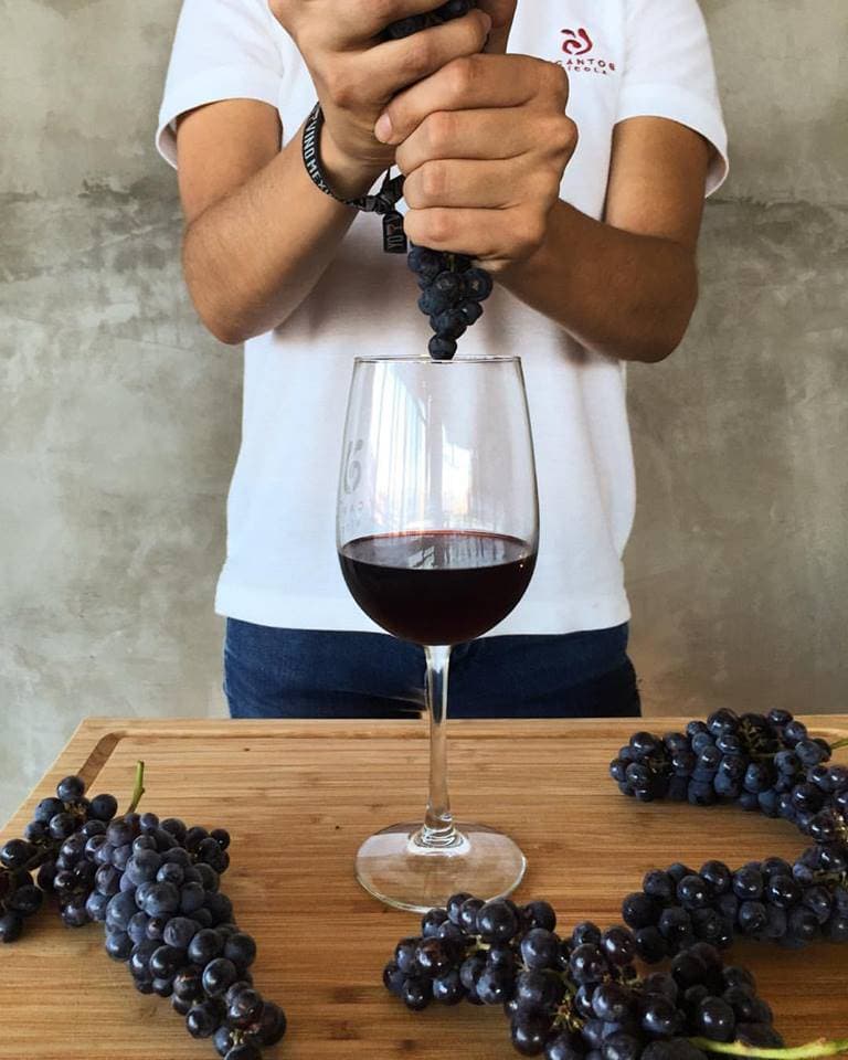 Decantos Vinícola 3