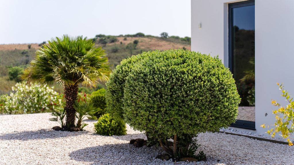 Villa Sernadinha 88