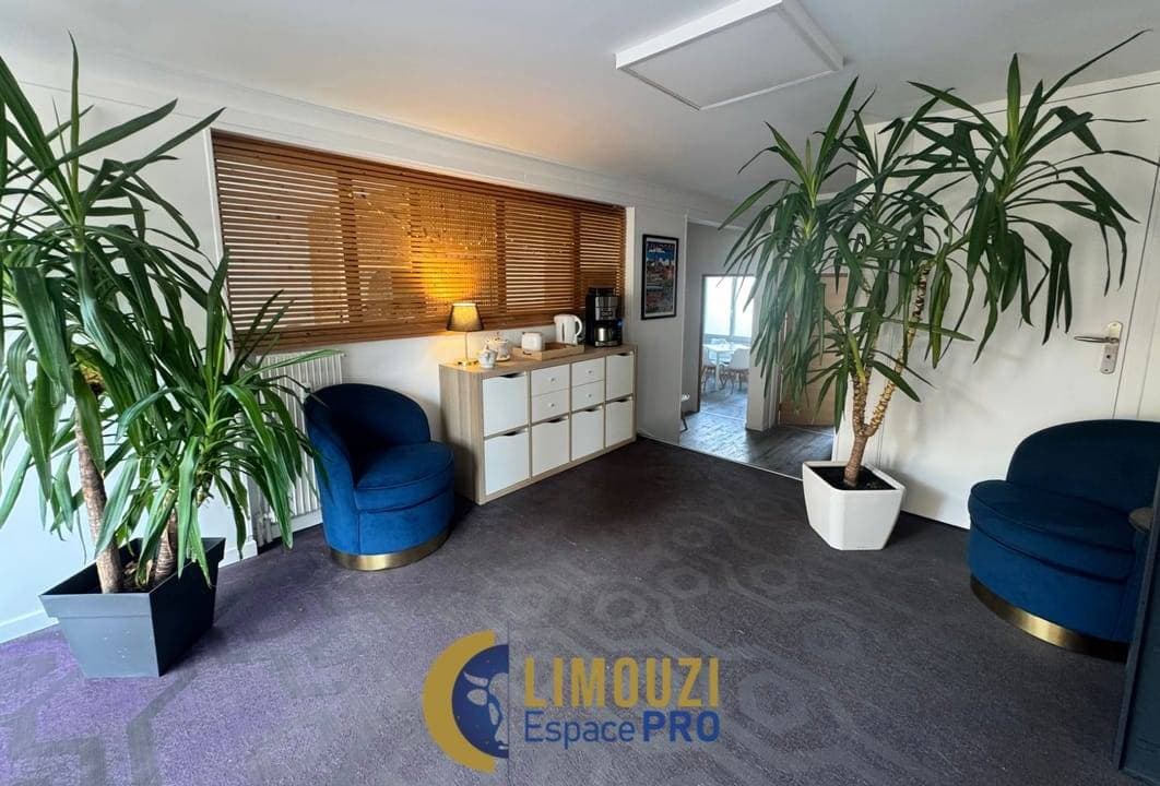 Limouzi Espace Pro 3