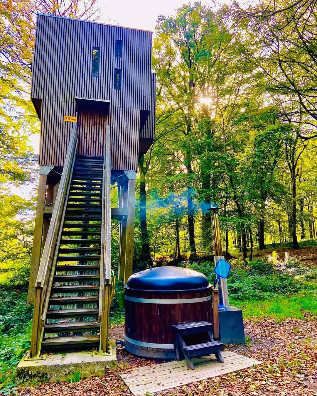 Étape en Forêt 13