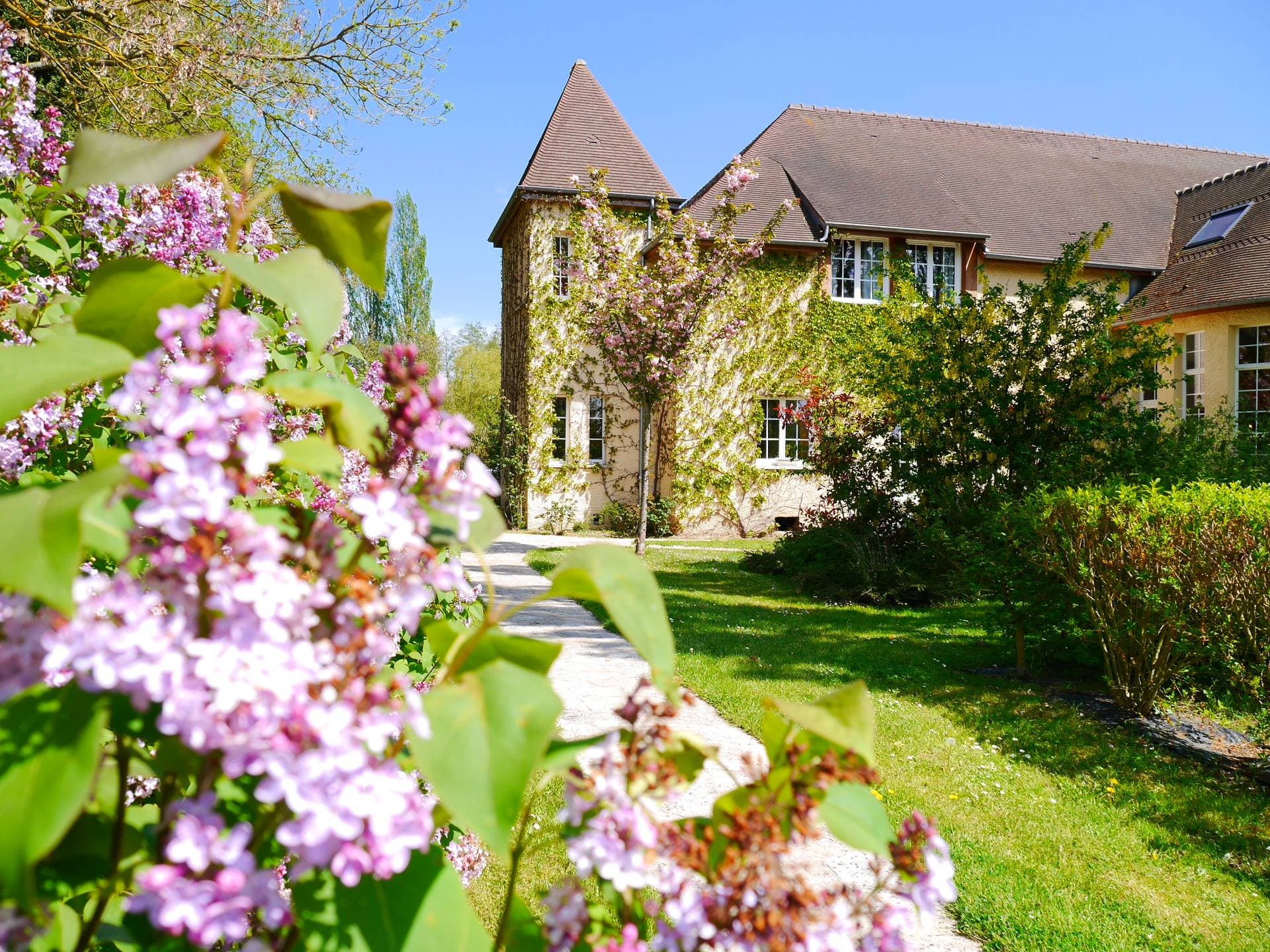 Le Moulin XII 7