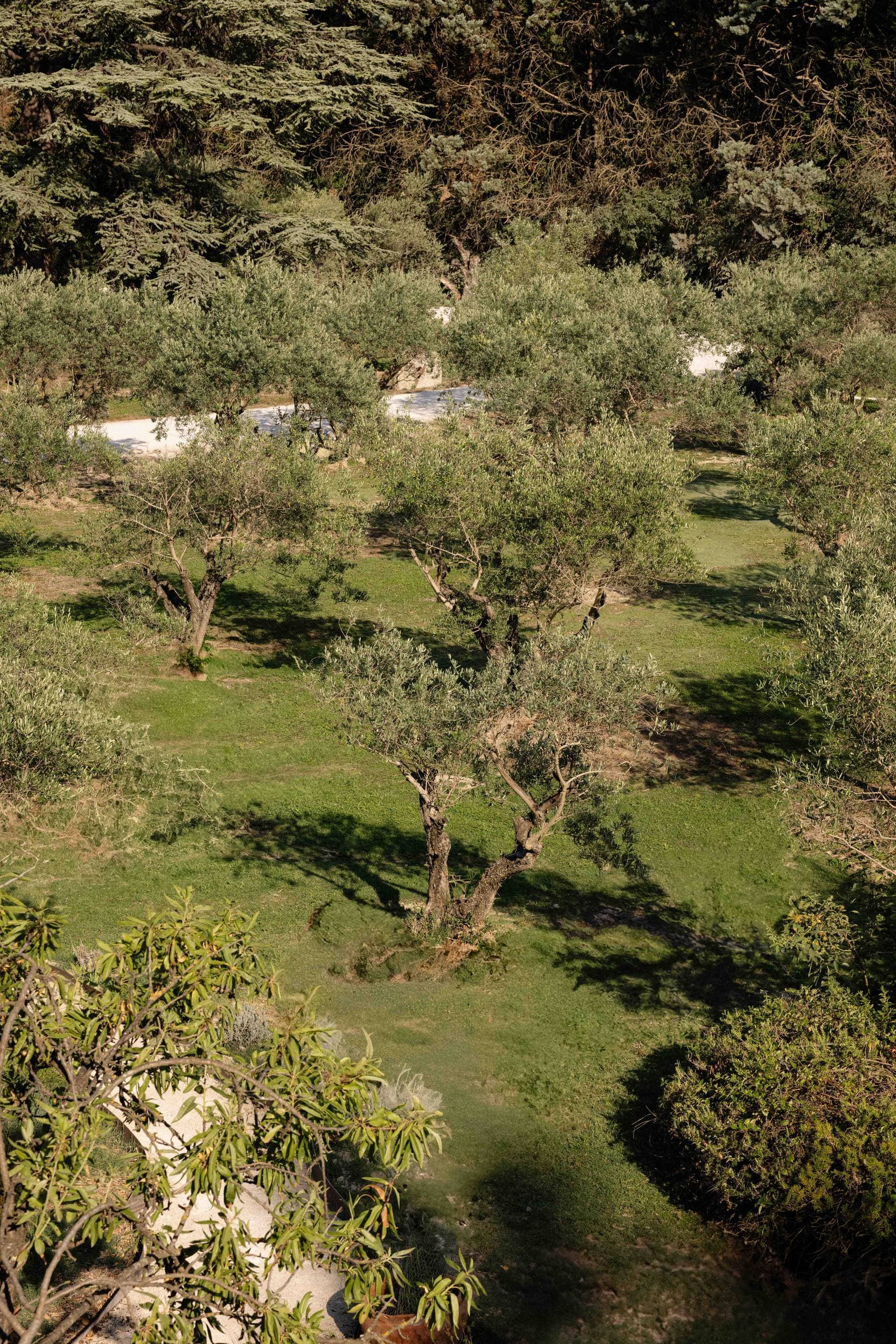 Le Moulin d'Aure 43